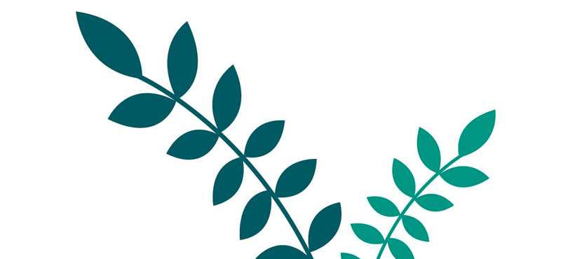 Our People - Ā Mātau Tāngata - Q4 2021