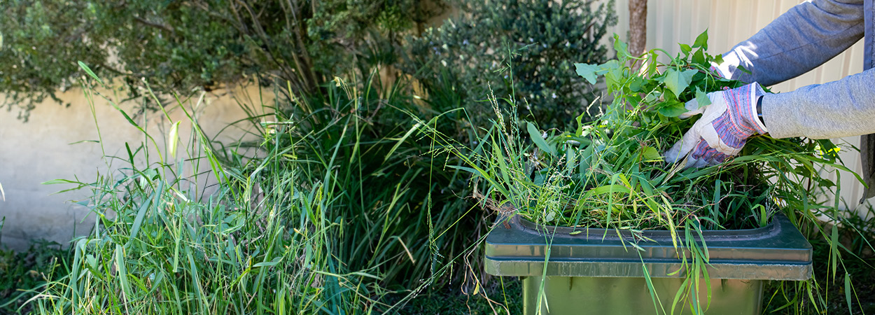 Garden Waste Bin Hero