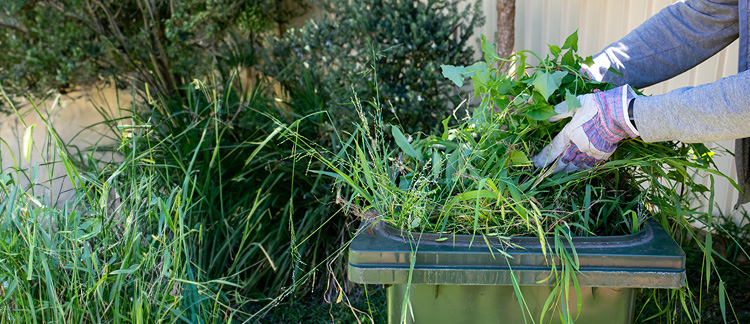 Garden Waste Mobile