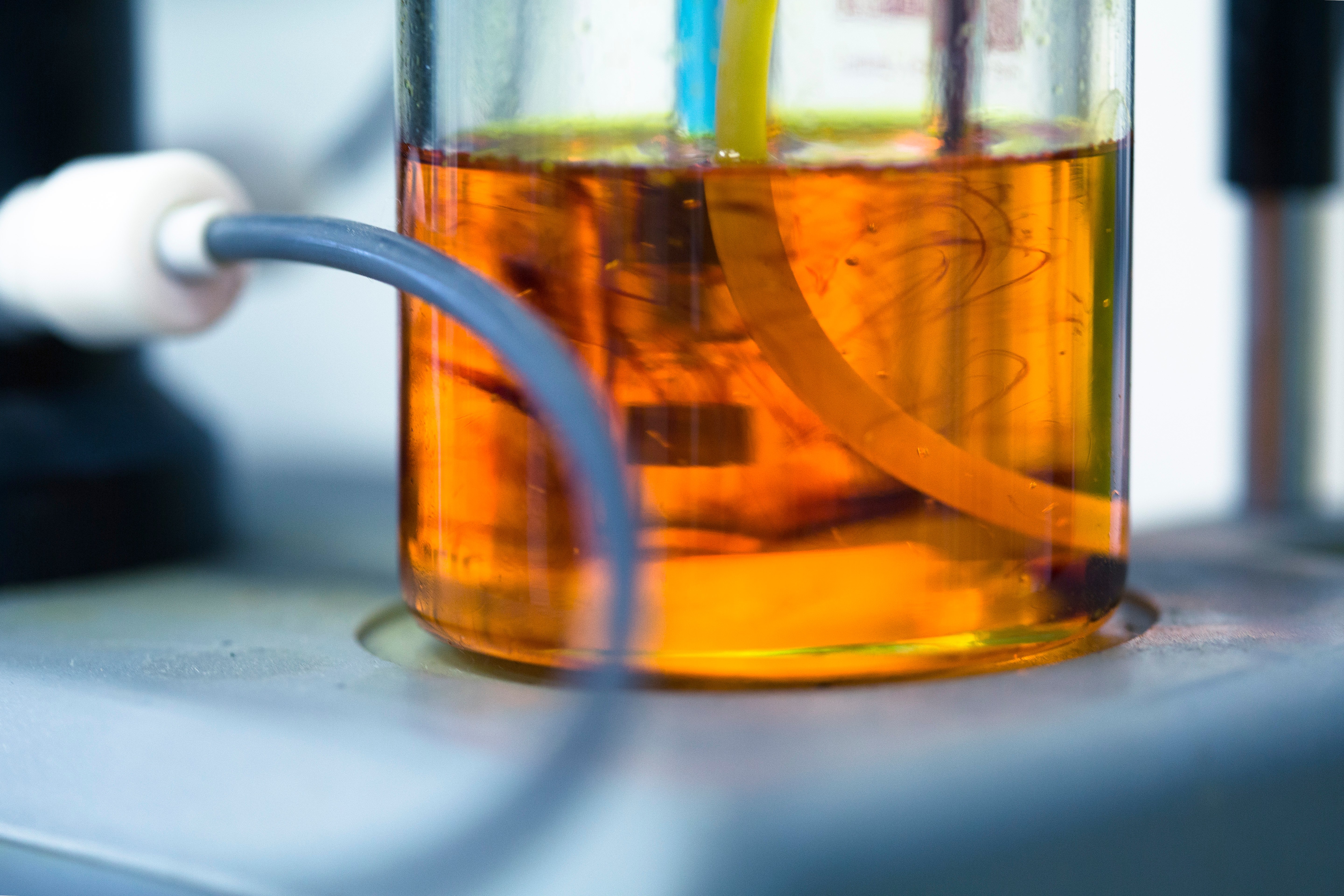 Lvl2NealsRdNov14VC0045