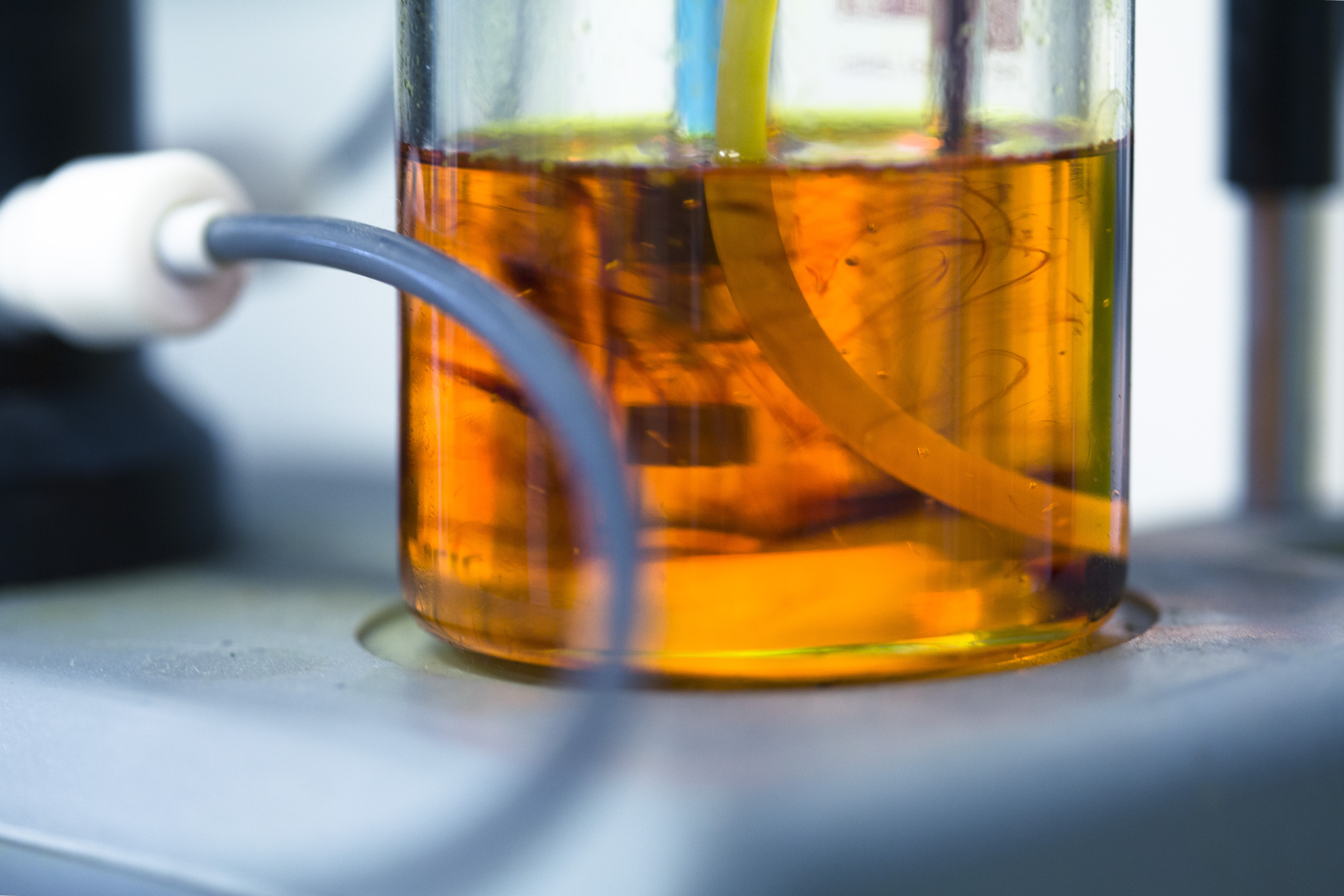 Lvl2NealsRdNov14VC0045