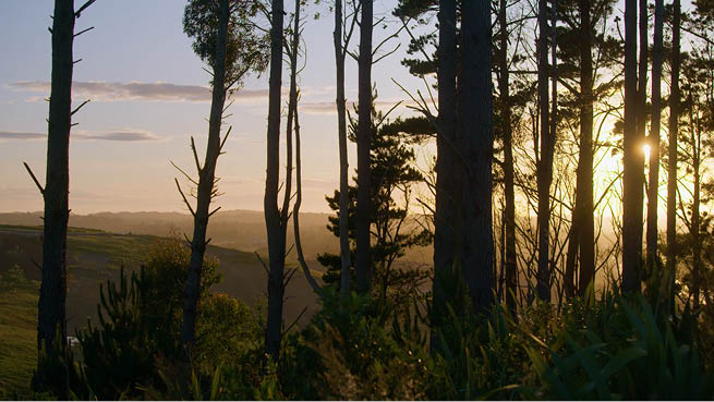 Sustainability Advisory Panel