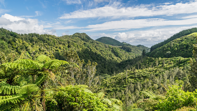 Waikato Regional Updates