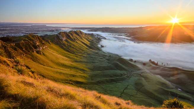 Hawke's Bay Regional Updates