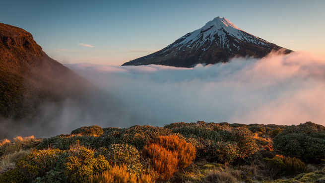 Taranaki Regional Updates