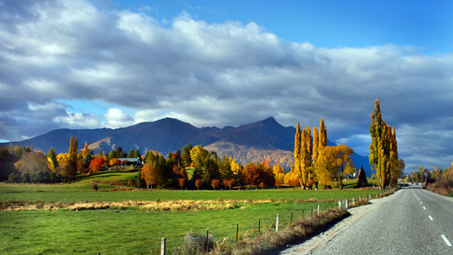 Otago Regional Updates