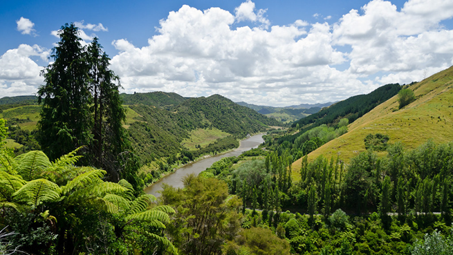 Manawatū-Whanganui Regional Updates