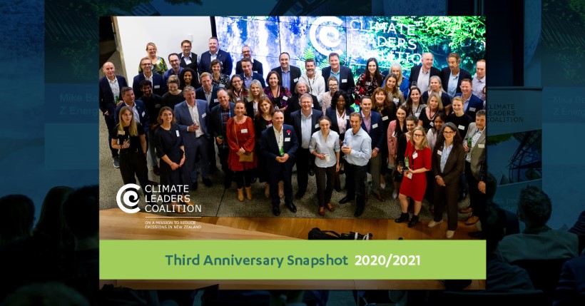 Climate Leaders Coalition snapshot 2021