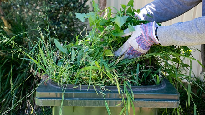 Garden Waste Teaser