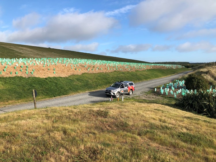 Burwood earthquake waste site returned to city as parkland