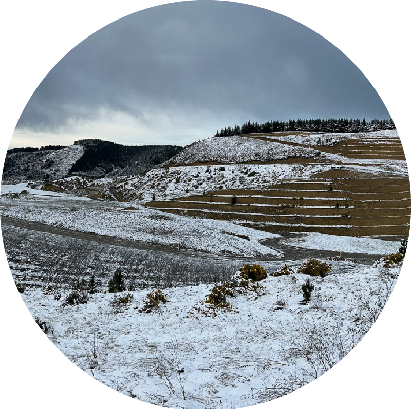 KateValley
